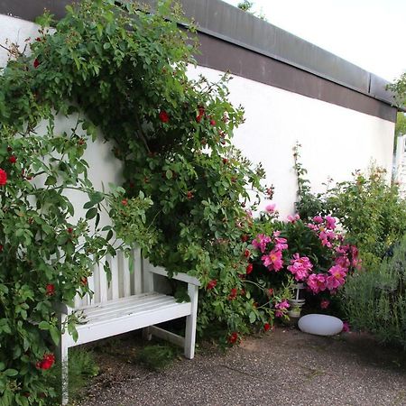 Schone Zimmer Im Zentrum Leben Offenburg Buitenkant foto